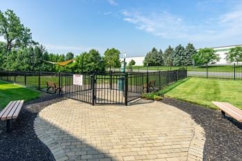 Dog park exterior